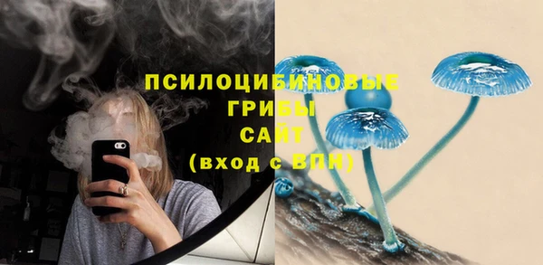 jwh Лиски