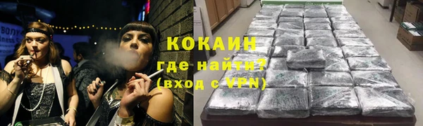 прущие грибы Волоколамск