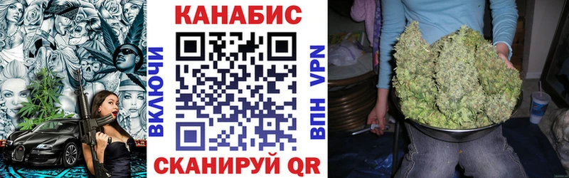 Бошки марихуана сатива Западная Двина